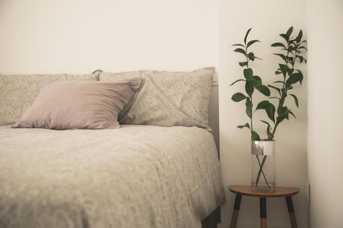 Romantico Apartamento En El Centro Santander Eksteriør bilde